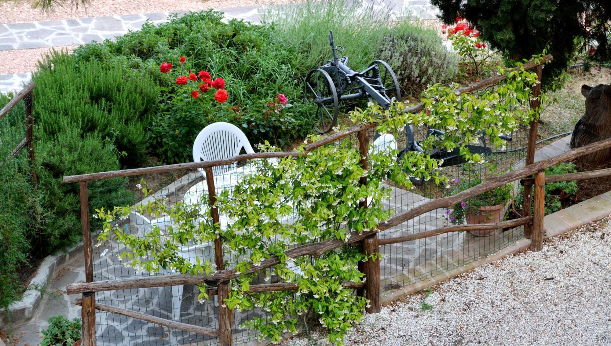 Agriturismo San Severo パッシニャーノ・スル・トラジメーノ 部屋 写真