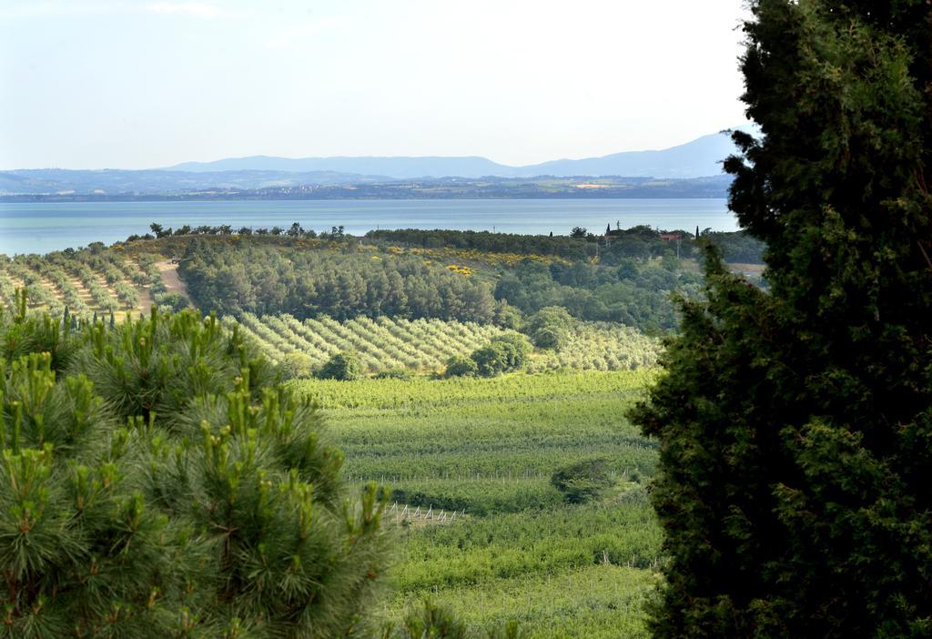 パッシニャーノ・スル・トラジメーノ Agriturismo San Severoヴィラ エクステリア 写真